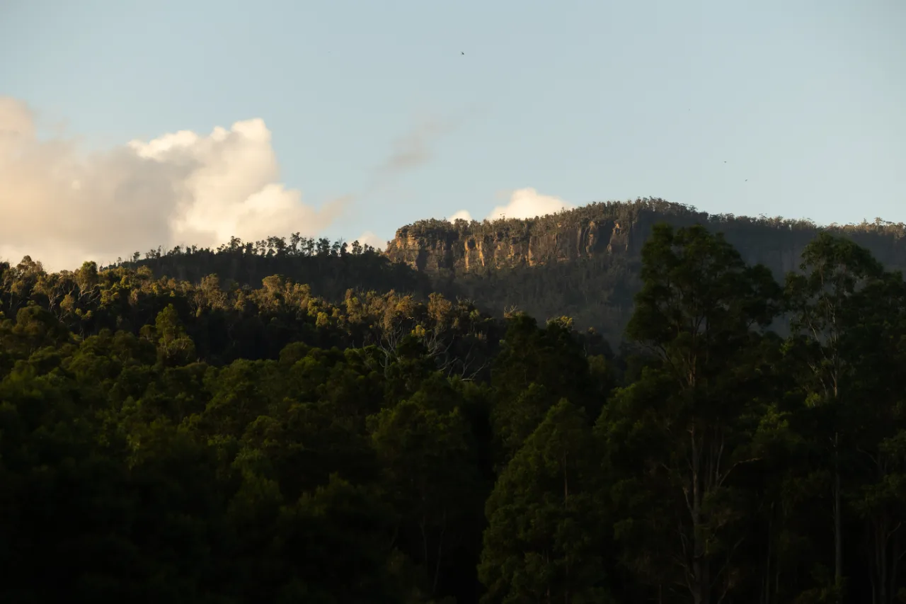 Escarpment above forested slopes at Lake David at Lake Yarrunga, Kangaroo Valley, at first light.
