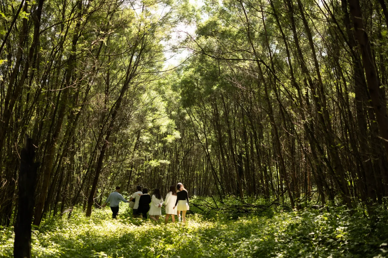 Participants walking a paddock edge, observing the treeline.