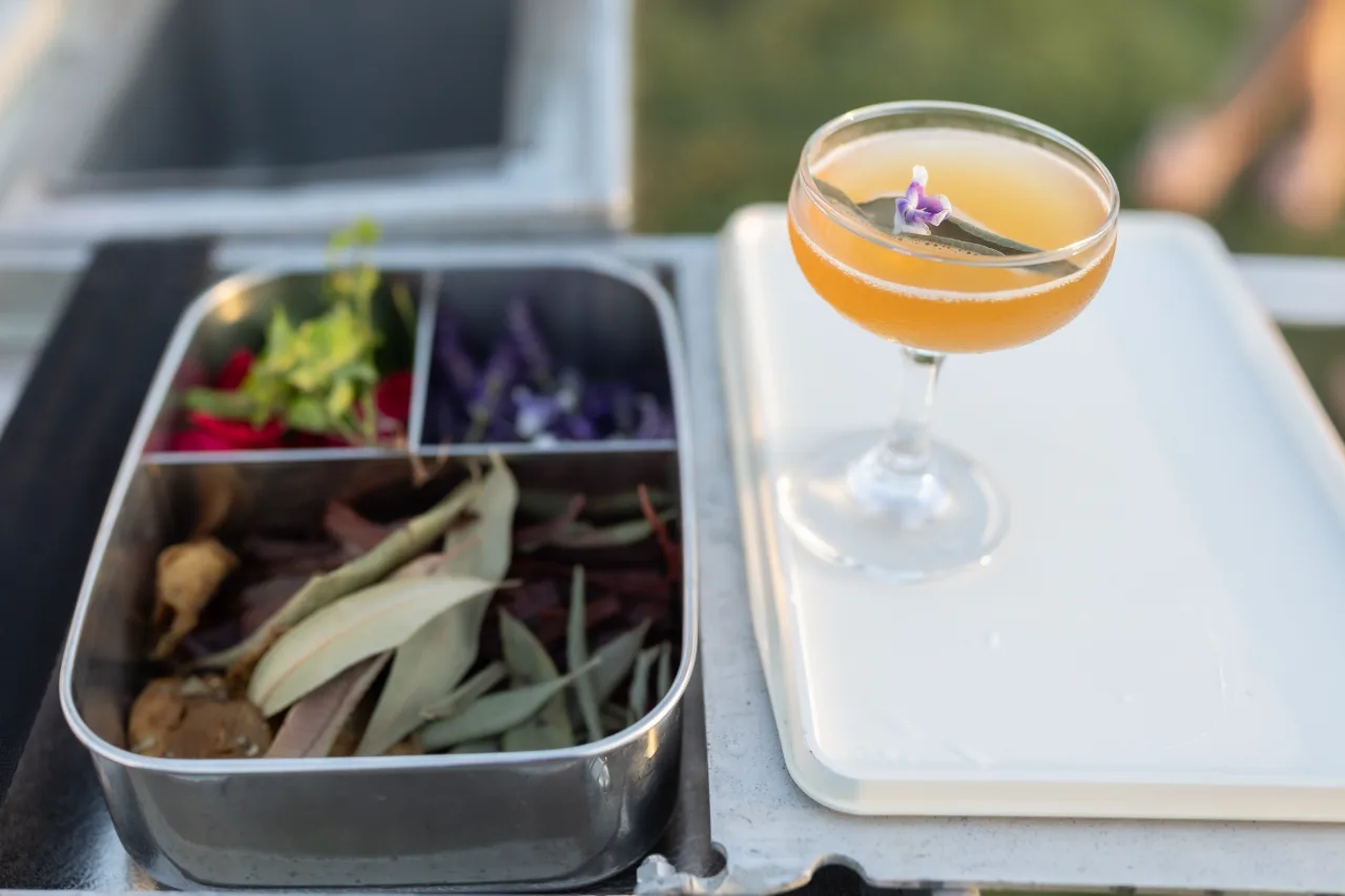 A coupe of botanical aperitif beside foraged leaf and flower on worn timber.