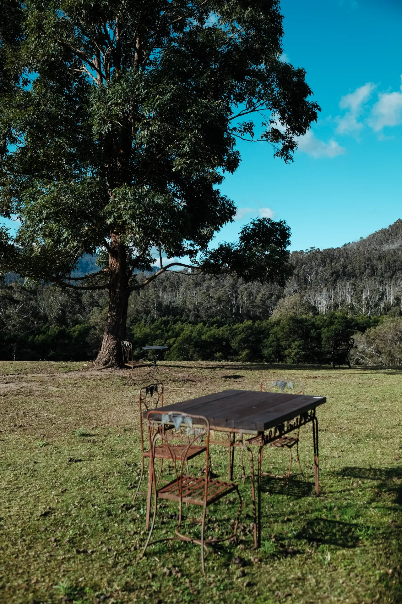 Open pasture running to a line of trees, hills behind.