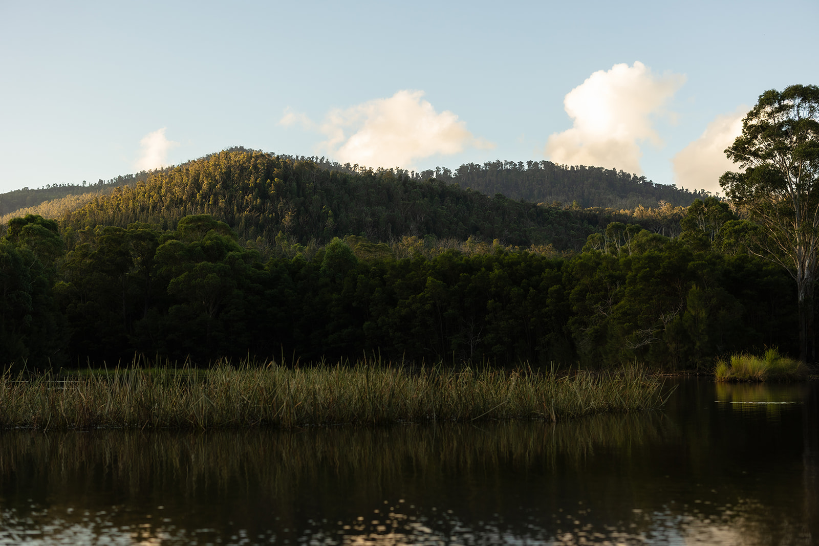 Kayaks on the water at Lake Yarrunga.